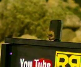 50���¤Υ饤�ե��Ƥ��ɤ�����iPhone�򶻥ݥ��åȤ�����ƤƤ褫�ä����פ��Ǥ�������iPhone��������Х�å�M82A1�����⤷�Ƥߤ�