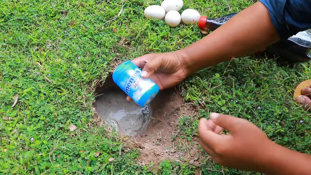 ���ʤ������ϡ������ȥ������������ǵ������Ȥ�����̯�ʥ饤�եϥå�