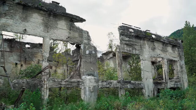 ����ȯ�ť����ޤᡢĮ�ޤ뤴�����ҤȤʤä����ʥ��Υ������ȥ����󡢥���衼����