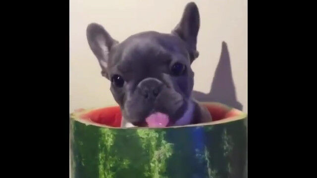 �ʤ�����ޤ����ġġ���������������ꡢ��¦���饹�����򿩤٤�Ҹ�