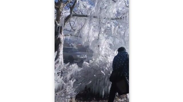 ��ƻ�ɤ�����ƿ��֤��ޤ�����̡����Ϥ��ڡ�����餻�����ޤ줿�ݽ���