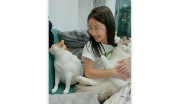 女の子に抱っこしてほしくて、メチャメチャわかりやすく拗ねる猫