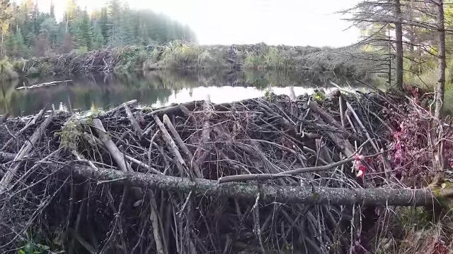 ���η��۲ȡ��ӡ��С���7ǯ�������ۤ��夲��������ब��������ͻ�