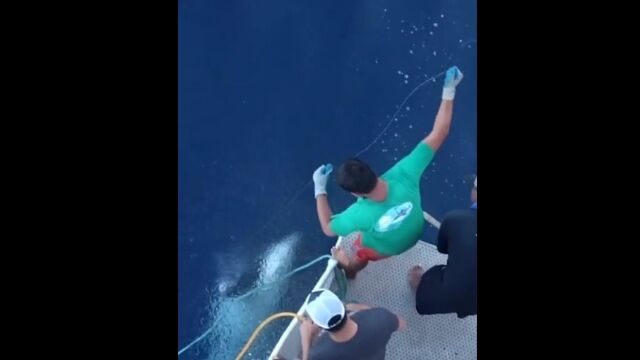 �ޥ����������ǥޥ�����Ķ������ʪ���о졣ͽ�۳��ν�����������ꤢ����ʽִ�