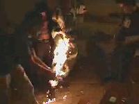 CowOnFire 
