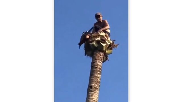 ̿�ˤʤ����������󥽡��Ҽ����­�ǥ䥷���ڤ��Фꡢ�ڤ��ݤ���