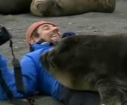 �����������Ƥ��륢���饷�ζ᤯�ǥ���������������������줿ưʪ�����ޥ�