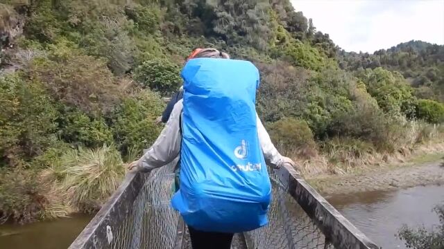 渡っている最中に吊り橋が壊れる、フランス人観光客がニュージーランドで味わった、恐ろしすぎる事故の瞬間