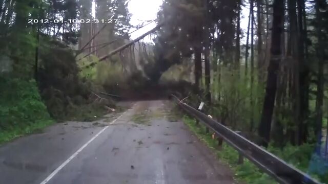 ��ƻ���ں���������������ڤ˴������ޤ줿�֤μֺܥ�������