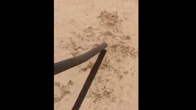 ̩⤹롣襳Х饬إӤۤν