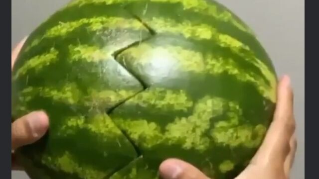 「スイカを割ったら中からこんなに可愛いものが!」……という定番ネタ