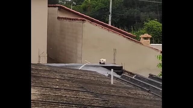 ���ˤ��������ʤ��Τˡ�������ʤ��ä��Ȥ����׷�