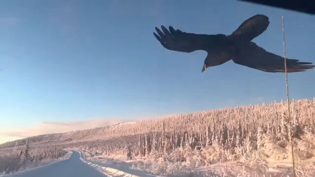 �֤���Ƴ���뤫�Τ褦�ˡ����äȰ������֥��饹