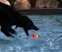 1000fps�Υ������⡼�����Ǹ��������ͷ�ָ�����