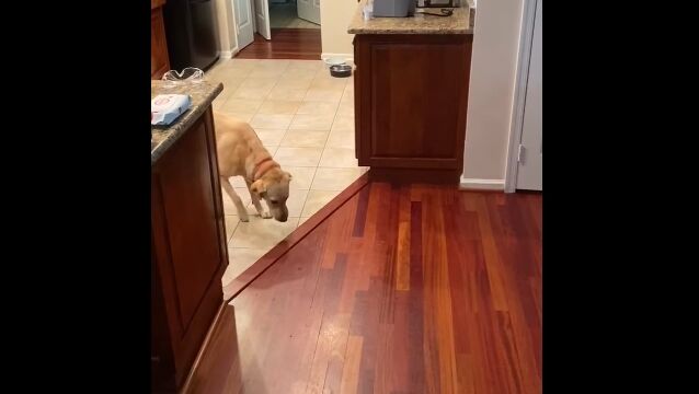 ե󥰤ʸΥǥ餷ˡפĤ