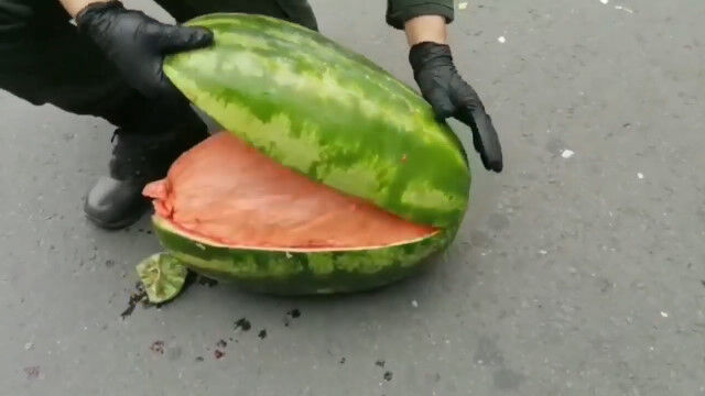 ���������ڤ�ȡ��椫�����̤����㤬��������ӥ��ٻ���Ŧȯ��������������Ȥä�̩͢�μ��