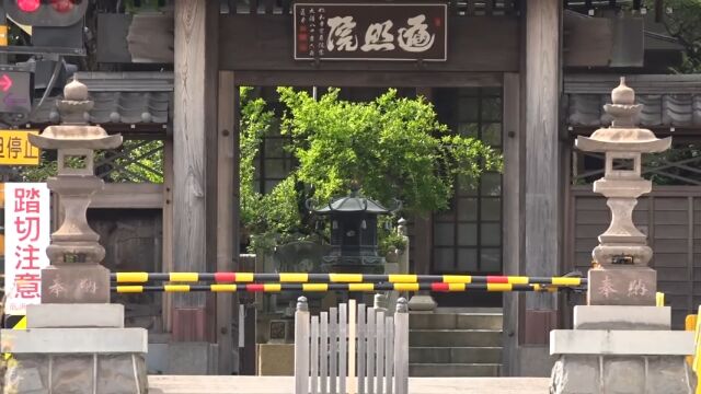 �ʤ󤸤㤳��㡪������ż֤����뤪�����׾ȱ�������