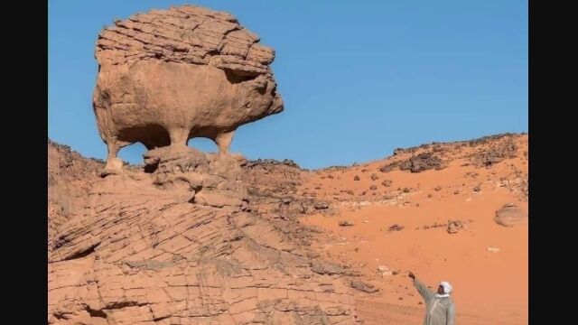 アルジェリアには、ハリネズミそっくりの岩「ヘッジホッグ・ロック」がある