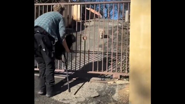 ロサンゼルス山火事ではぐれた愛犬と5日ぶりに再開。これは嬉しい
