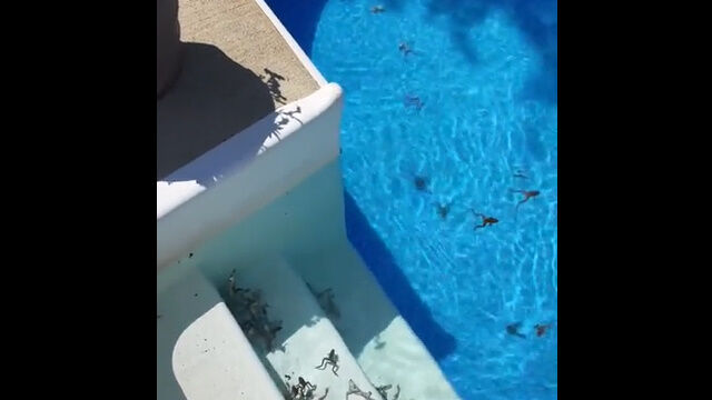 �ٲˤ򽪤��Ƶ��𤷤��顢�ס��뤬���̤Υ�����˿�ά����Ƥ����Ȥ������