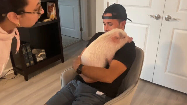 �ѥѤȰ��ˤ��������ȡ��ޥޤ����ä������Ƥ���ʤ��֥��Υԥ󥭡������