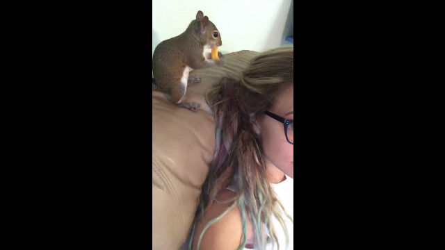 �ꥹ�İ����ġ����Ф����ȱ����˥����ȥ��򱣤��ꥹ