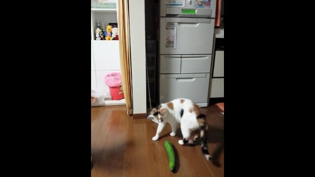 Ȥˤϥ奦꤬äӾ夬ä㤦ǭ