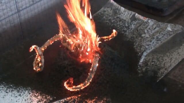 �֥��顼���󡪡ײл�ʮ�Ф��椫�鿨�꤬�˥��˥��ФƤ���褦�ʡ��󥯥���������˥���ȥ�������������(II)��ǳ�Ƥ���������ȿ��