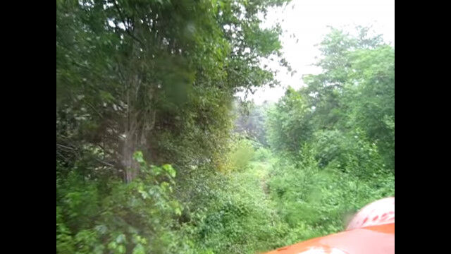 ほとんど草木に埋もれてしまった線路を進む、米オレゴン州の電車から見た光景