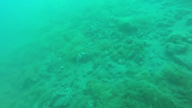 スキューバダイビング中に地震発生。マグニチュード5.7の地震に揺れる水中での映像