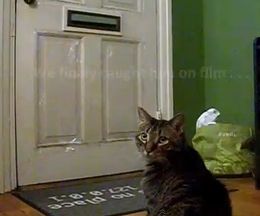 ��������˥ɥ�������͹����ã�����Ԥġ�ǭ�ΥХ��󤯤�