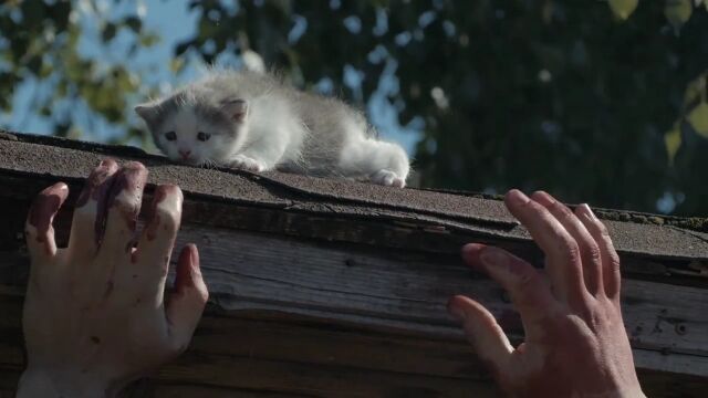 ゾンビに囲まれた子猫を救え!プロフェッショナルな猫たちがゾンビと戦うショートムービー Cats vs Zombies