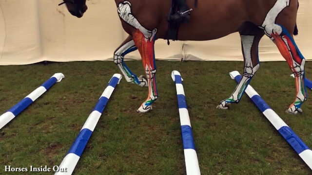 �Ϥ�­�˹���秡����Ӥ�ڥ���Ȥ��뤳�Ȥǡ���ư����������Ѳ������Ū��ɽ��