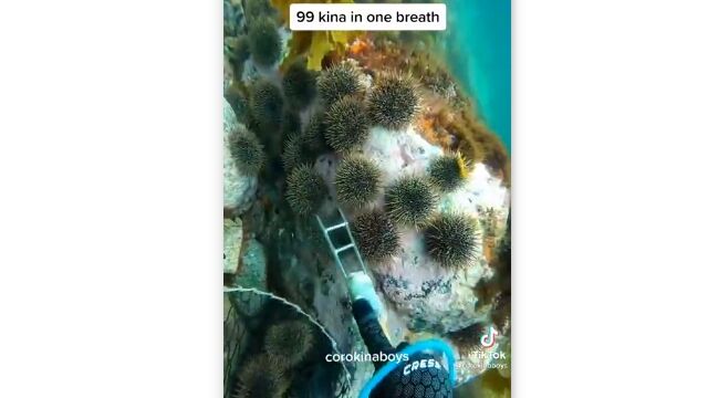 �������ä�©�Ѥ�����ޤǡ����ˤ�Τ뤳��99��