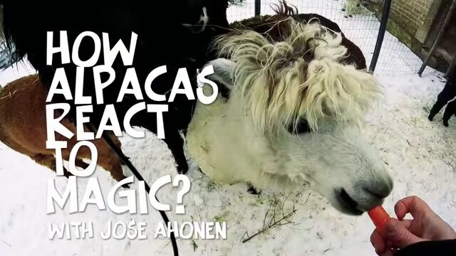 �������ä���������������ʤǾä���ä����Υ���ѥ�������ȿ��������