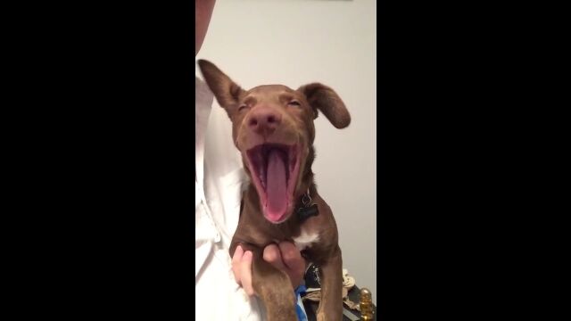 Ƥ뤳äޤǤĤ㤦Ӥߤޤʤ