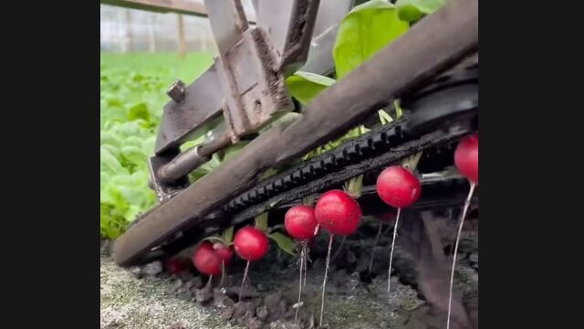 ��ΨŪ�˥�ǥ��å������Ϥ��뵡�������Ƥ��Ƶ���������