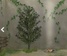 �Ի׵Ĥʲ̼¤��ڤ��������फ���æ�Х����ࡡ���ǥ�β̼�