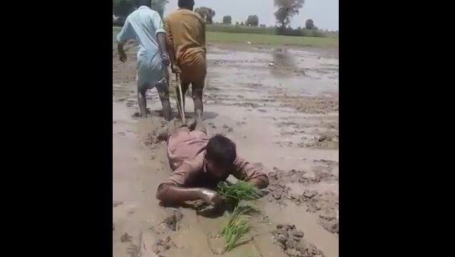 ��3�ͤι��ε����Ŀ������ˤʤ꤭��Ȥ���ȯ��