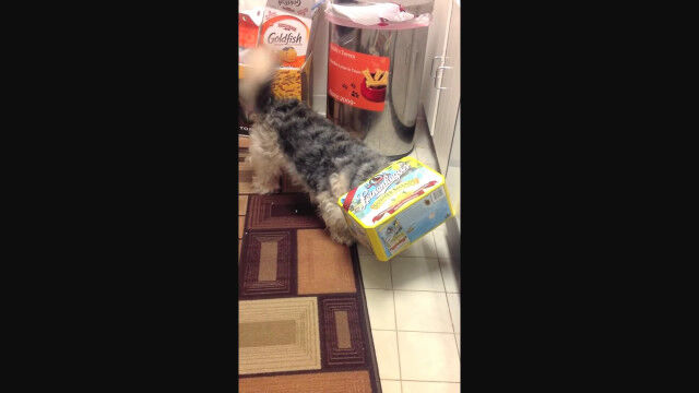 Ȣ��Ƭ���ͤù���Ȥ������������ʼ�̣���ܳФ�Ƥ��ޤä���