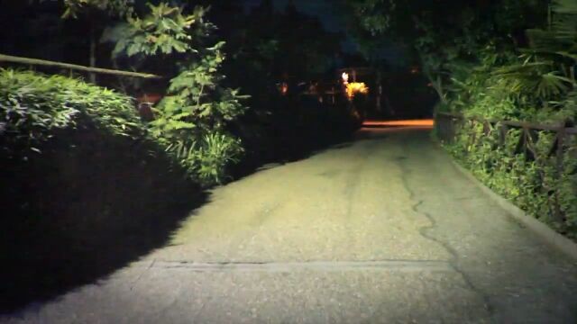 ����ϰ�̴�����¤���ͷ���Ϥ�̵�ǿ��������ˤ������ݤ��������硼�ȥࡼ�ӡ���breaking into a theme park