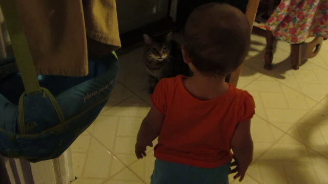 �ջפ����̤��Ǥ��Ƥ���餷�����ʹ֤��֤�����ǭ�β���