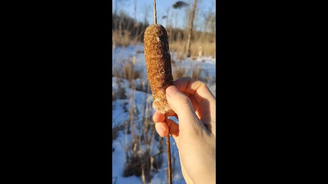 ���դ������뤭�ꤿ��ݤߤ����ʿ�ʪ�����ޤ����ۤ�������������������