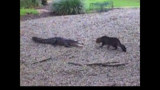 ��ˤ��襤��ĩ���ǭ������2