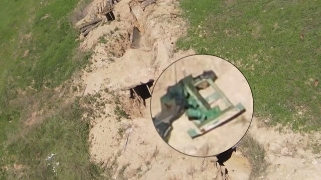 �����������Ϲ�򡢸���ѤΥɥ�������廡���륦���饤�ʷ���ʼ�Τ�ʼ����������ݸ�����