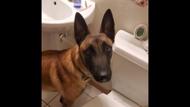 �ʹ��ѤΥȥ���ǥѡ��ե����Ȥ��Ѥ�­����