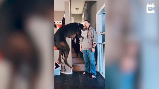 礬ؤǡ綽ʳķͤ륰쥤ϥ