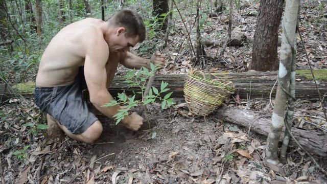 �μ褷�������������ʴ�ؤȲù������ѥ󥱡�������Ĵ�����ƿ����������褪������