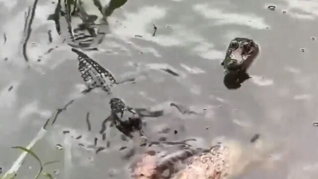 ��ˤ��֤����λ�����ɬ�����֥ǥ�������פ��Ȥ���