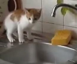 ��������Ȥ�������Τ�ʤ��ä���ǭ